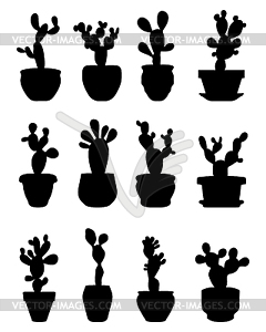 Cactus at potted - vector clipart