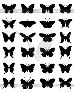 Butterflies  - vector clipart