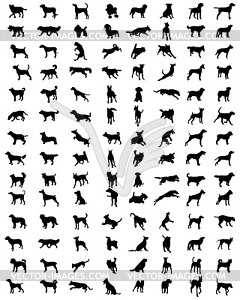 Silhouettes of dogs - vector clip art