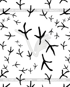 Traces of birds - vector image