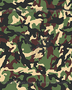 Fashionable camouflage pattern - color vector clipart