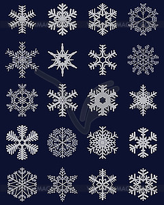 Set of different snowflakes  - vector clipart