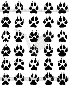 Print of dogs paws - vector clip art