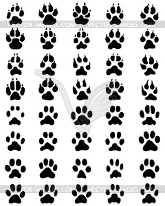 Print of paws of dogs and cats - vector image