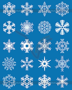 Set of different white snowflakes  - vector clipart