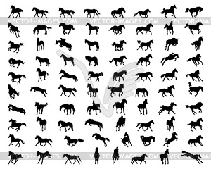 Black silhouettes of horses  - vector image