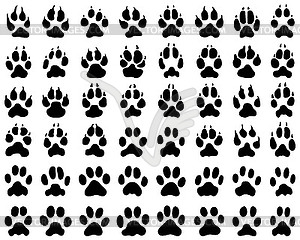 Print of dogs and cats  paws - vector image