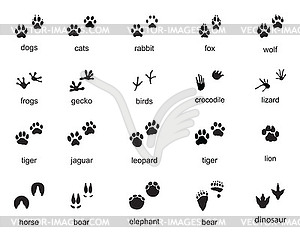 Set of footprints of wild animals - vector image