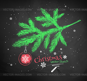 Christmas tree fir branch - vector clipart