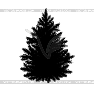 Fir-tree silhouette - vector image