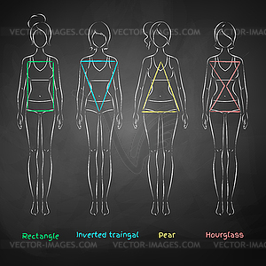 Chalked female body types - vector clip art