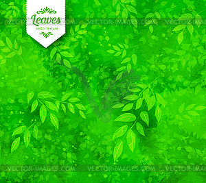 Green spring and summer background - vector clipart