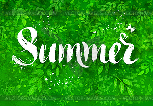 Summer word brush lettering - vector image