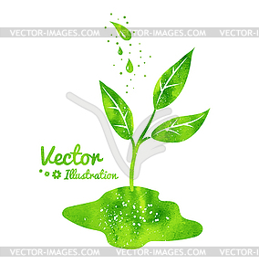 Growing sprout and water drops - vector clipart