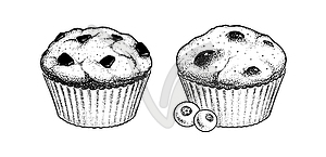 Sketch Muffins - vector image