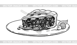 Sketch Blueberry Pie on plate - vector image