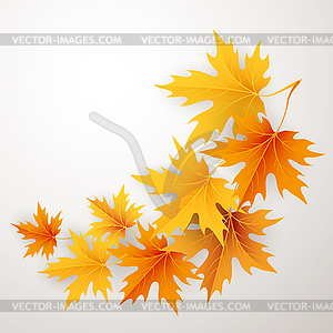 Осенние клены падающие листья фон - векторный дизайн