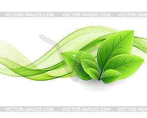 Eco leaves and green wave - vector clipart