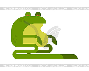 Frog cartoon . Green toad - vector image