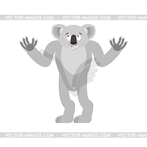 Koala confused. koala bear perplexed. Beast - vector clipart