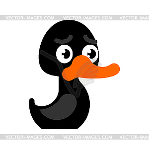 Black duck . Cartoon bird - vector image
