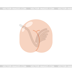 Ass . buttocks . Back Part body - vector image