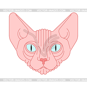 Sphynx cat face . Pet head - vector clip art