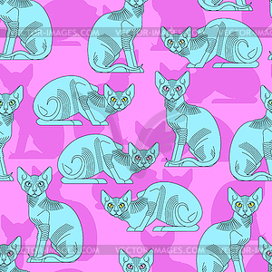 Sphynx cat pattern seamless. Pet background. Home - vector clipart