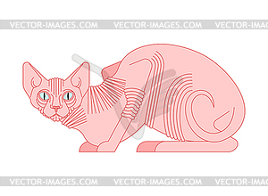 Sphynx cat . hairless cat breeds. Pet illustratio - vector clip art