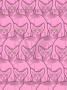 Sphynx cat pattern seamless. Pet background. Home - vector clip art