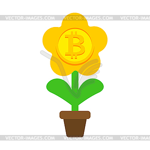 Bitcoin plant in pot. Cryptocurrency flower - vector image