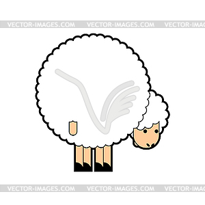 Sheep ass. Ram back. Animal - vector image