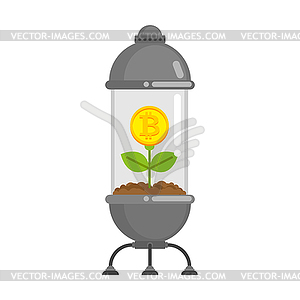 Bitcoin plant in pot. Cryptocurrency flower - vector clip art