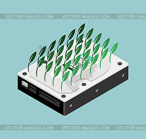 Chia coin plotting hdd. Sprouts seedling hard drive - vector image