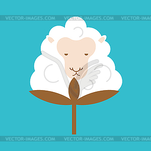 Cotton Sheep . Cotton flower in form of ewe. illu - stock vector clipart