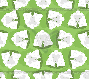 Cotton Sheep pattern seamless. Cotton flower in for - vector clipart