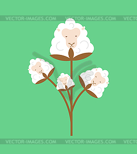 Cotton Sheep . Cotton flower in form of ewe. illu - stock vector clipart