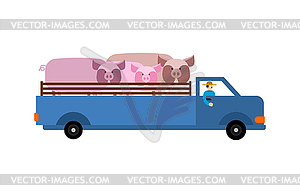 Farm truck with pigs. Farmer is carrying cattle in - vector image