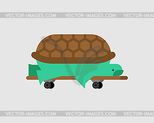 Turtle on skateboard. tortoise . animal carto - vector clip art