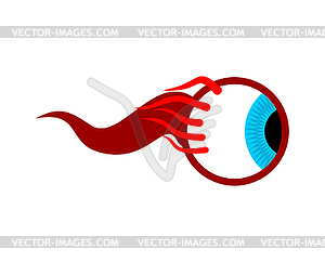 Eyeball. Eye . Eyes with nerves - vector image