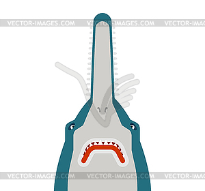Sawfish head . marine predator - vector image
