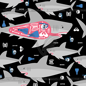 Shark and skeleton diver pattern seamless. Marine - vector clipart