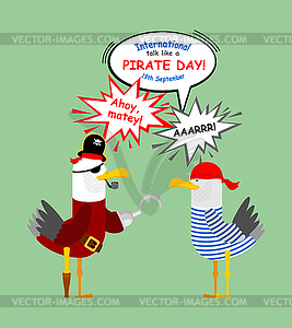 International Talk Like Pirate Day. Gull in pirate - vector clip art