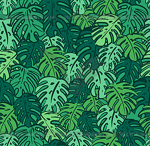 Monstera pattern seamless. Palm leaves background. - vector image