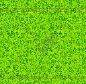 Monstera pattern seamless. Palm leaves background. - vector clipart