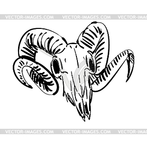 Goat skull hand drawing. Goat head skeleton - vector clip art