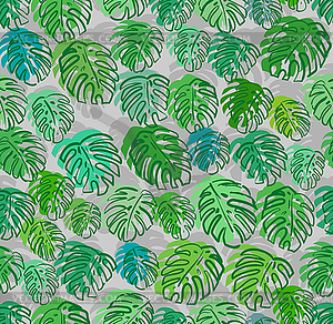 Monstera pattern seamless. Palm leaves background. - royalty-free vector image