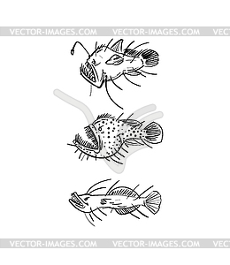 Angler Deep sea fish hand drawing set - vector clipart