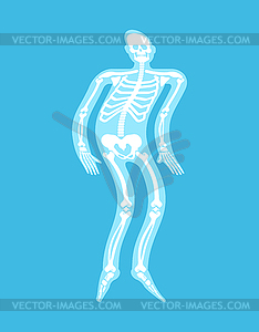 Ghost of transparent man with bones. spirit flies - stock vector clipart