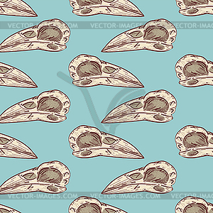 Raven Skull pattern seamless. Raven head skeleton - vector clip art